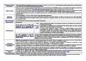 Ficha informativa Subv Cheque Trabajo 2015a